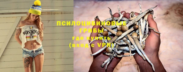 спайс Алзамай