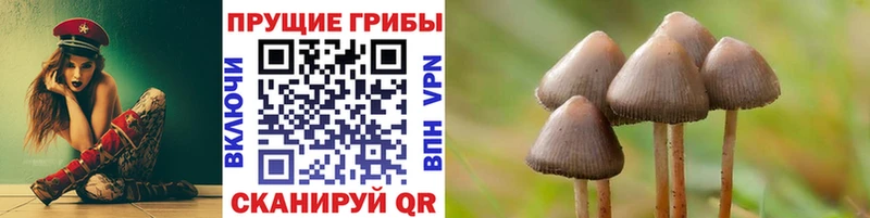 Псилоцибиновые грибы мицелий  магазин продажи   Суровикино 